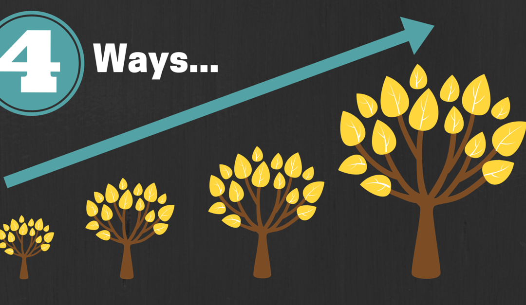 4 Ways CEOs and Entrepreneurs Can Very Quickly Grow Their Business